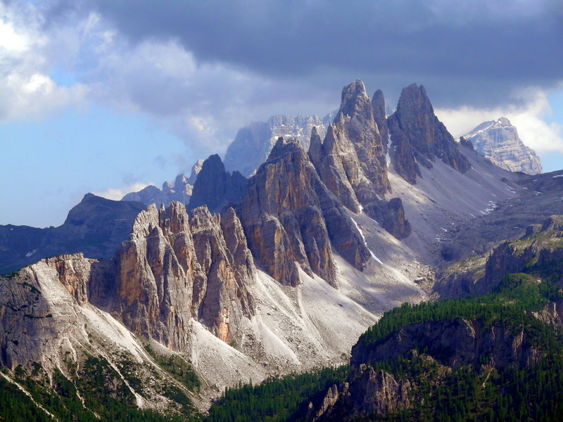 la camoscia perde il pelo ma...lentamente, molto lentamente